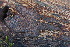  ( - HAY-F-000813)  @11 [ ] cc-by-nc (2023) Warren Cardimona FunDiS