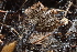  ( - HAY-F-000270)  @11 [ ] CC-BY-NC (2023) Damon Tighe FunDiS