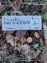  ( - HAY-F-000330)  @11 [ ] CC BY-NC 4.0 (2023) Harte Singer Fungal Diversity Survey