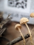  (Flammulaster sp. carpophilus-PNW06 - HAY-F-002034)  @11 [ ] by-nc (2023) Stu Pickell Fungal Diversity Survey