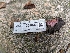  ( - HAY-F-002047)  @11 [ ] by-nc (2023) Stu Pickell Fungal Diversity Survey