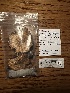  ( - HAY-F-002572)  @11 [ ] c (2023) Rudy Diaz Fungal Diversity Survey