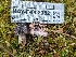  ( - HAY-F-002052)  @11 [ ] by-nc (2023) Stu Pickell Fungal Diversity Survey