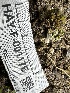  ( - HAY-F-001176)  @11 [ ] by-nc (2023) Aaron Tupac Fungal Diversity Survey