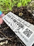  ( - HAY-F-001206)  @11 [ ] by-nc (2023) Aaron Tupac Fungal Diversity Survey