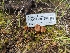 ( - HAY-F-001989)  @11 [ ] by-nc (2023) Stu Pickell Fungal Diversity Survey