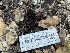  ( - HAY-F-002786)  @11 [ ] by-nc (2023) Damon Tighe Fungal Diversity Survey
