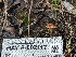  ( - HAY-F-002117)  @11 [ ] by-nc (2023) Stu Pickell Fungal Diversity Survey