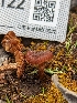 ( - HAY-F-002122)  @11 [ ] by-nc (2023) Stu Pickell Fungal Diversity Survey