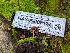  ( - HAY-F-002127)  @11 [ ] by-nc (2023) Stu Pickell Fungal Diversity Survey
