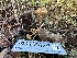  ( - HAY-F-001274)  @11 [ ] by-nc (2023) Aaron Tupac Fungal Diversity Survey