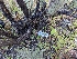  ( - HAY-F-002092)  @11 [ ] by-nc (2023) Stu Pickell Fungal Diversity Survey