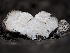  ( - HAY-F-002138)  @11 [ ] by-nc (2023) Stu Pickell Fungal Diversity Survey
