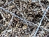  ( - HAY-F-002149)  @11 [ ] by-nc (2023) Stu Pickell Fungal Diversity Survey