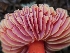  ( - HAY-F-000698)  @11 [ ] by (2023) Mandy Hackney Fungal Diversity Survey