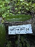  ( - HAY-F-002642)  @11 [ ] c (2023) Rudy Diaz Fungal Diversity Survey