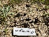  ( - HAY-F-002805)  @11 [ ] by-nc (2023) Damon Tighe Fungal Diversity Survey