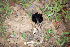  ( - HAY-F-003760)  @11 [ ] by-nc (2023) Dean Lyons Fungal Diversity Survey