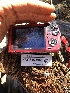  ( - HAY-F-003683)  @11 [ ] by-nc (2023) Dean Lyons Fungal Diversity Survey