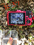  ( - HAY-F-003722)  @11 [ ] by-nc (2023) Dean Lyons Fungal Diversity Survey