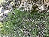  ( - HAY-F-001334)  @11 [ ] by-nc (2023) Aaron Tupac Fungal Diversity Survey