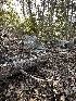  ( - HAY-F-001311)  @11 [ ] by-nc (2023) Aaron Tupac Fungal Diversity Survey