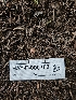 ( - HAY-F-000753)  @11 [ ] by (2023) Mandy Hackney Fungal Diversity Survey