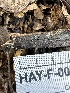  ( - HAY-F-002646)  @11 [ ] c (2023) Rudy Diaz Fungal Diversity Survey