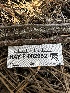  ( - HAY-F-002652)  @11 [ ] c (2023) Rudy Diaz Fungal Diversity Survey