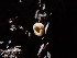  (Tarzetta sp. CA01 - HAY-F-001872)  @11 [ ] by-nc (2023) Sadie Hickey Fungal Diversity Survey