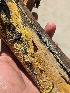  ( - HAY-F-002953)  @11 [ ] by-nc (2023) Stu Pickell Fungal Diversity Survey