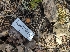  ( - HAY-F-003573)  @11 [ ] by-nc (2023) Sadie Hickey Fungal Diversity Survey
