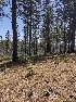  ( - HAY-F-003667)  @11 [ ] by-nc (2023) Sadie Hickey Fungal Diversity Survey