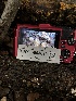  ( - HAY-F-003092)  @11 [ ] by-nc (2023) Dean Lyons Fungal Diversity Survey