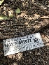  ( - HAY-F-002677)  @11 [ ] c (2023) Rudy Diaz Fungal Diversity Survey