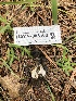  ( - HAY-F-003160)  @11 [ ] by-nc (2023) Dean Lyons Fungal Diversity Survey