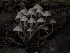  (Mycena - HAY-F-002880)  @11 [ ] by-nc (2023) Stu Pickell Fungal Diversity Survey