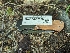  ( - HAY-F-002888)  @11 [ ] by-nc (2023) Stu Pickell Fungal Diversity Survey