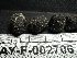 (Trichobolus sp. zukalii-CA01 - HAY-F-002706)  @11 [ ] c (2023) Rudy Diaz Fungal Diversity Survey