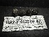  ( - HAY-F-002706)  @11 [ ] c (2023) Rudy Diaz Fungal Diversity Survey