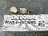  ( - HAY-F-002988)  @11 [ ] by-nc (2023) Damon Tighe Fungal Diversity Survey