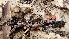 ( - HAY-F-002192)  @11 [ ] by-nc (2023) Thea Chesney Fungal Diversity Survey