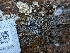  ( - HAY-F-004376)  @11 [ ] by-nc (2023) Stu Pickell Fungal Diversity Survey