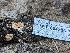  ( - HAY-F-004384)  @11 [ ] by-nc (2023) Stu Pickell Fungal Diversity Survey