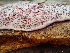  ( - HAY-F-003746)  @11 [ ] by-nc (2023) Dean Lyons Fungal Diversity Survey