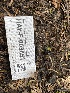  ( - HAY-F-003851)  @11 [ ] by-nc (2023) Grace Stark Fungal Diversity Survey