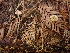  ( - HAY-F-003966)  @11 [ ] by-nc (2023) Grace Stark Fungal Diversity Survey