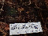  ( - HAY-F-003770)  @11 [ ] by-nc (2023) Grace Stark Fungal Diversity Survey
