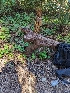  ( - HAY-F-004406)  @11 [ ] by-nc (2023) Stu Pickell Fungal Diversity Survey