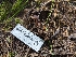  ( - HAY-F-004405)  @11 [ ] by-nc (2023) Stu Pickell Fungal Diversity Survey